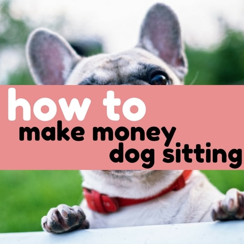 Rover ~ Make $1000 a MONTH by Dog Walking and Dog Sitting!