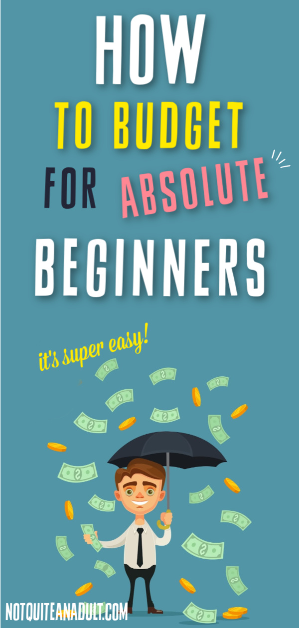 Budgeting for Beginners: A 7 Step Guide To Success Not Quite An