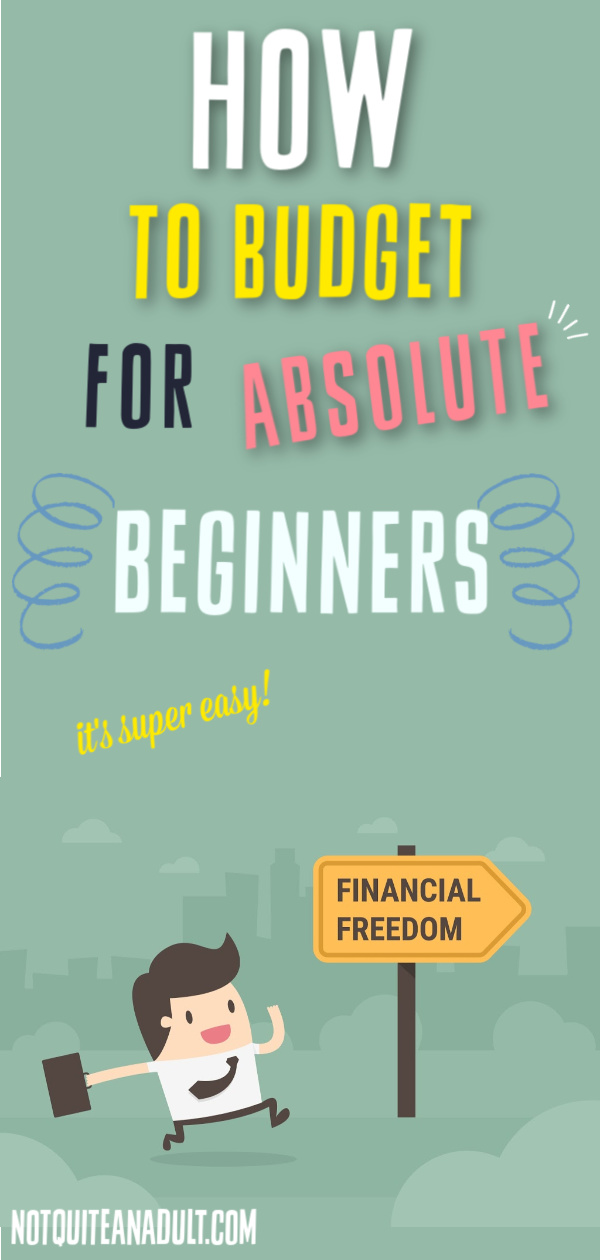 Budgeting for Beginners: A 7 Step Guide To Success Not Quite An